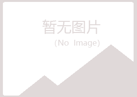 兴山区迷失教育有限公司